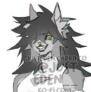 kitty